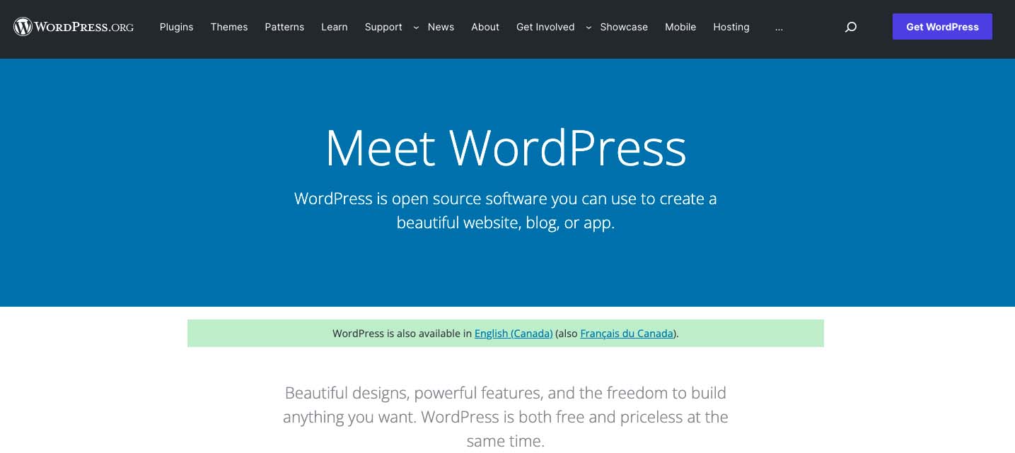 WordPress homepage for Best Blogging Platforms