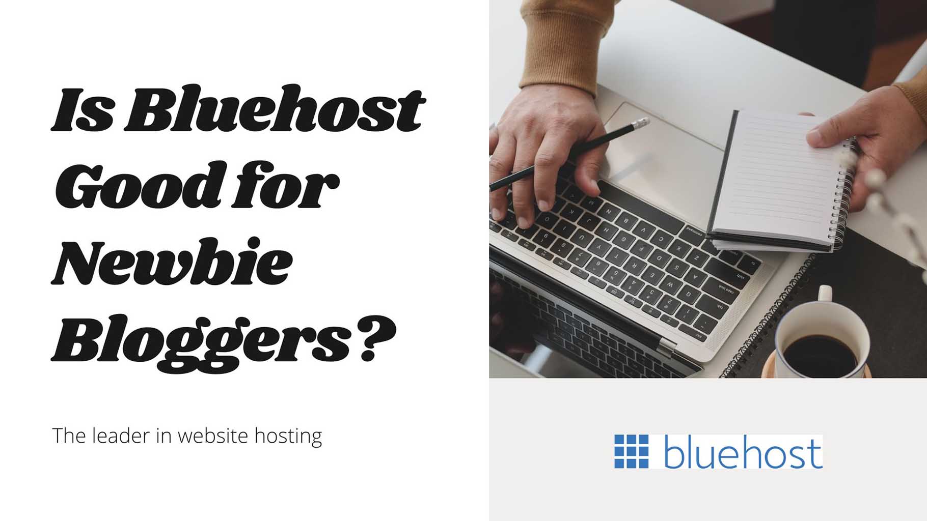 bluehost for newbie bloggers