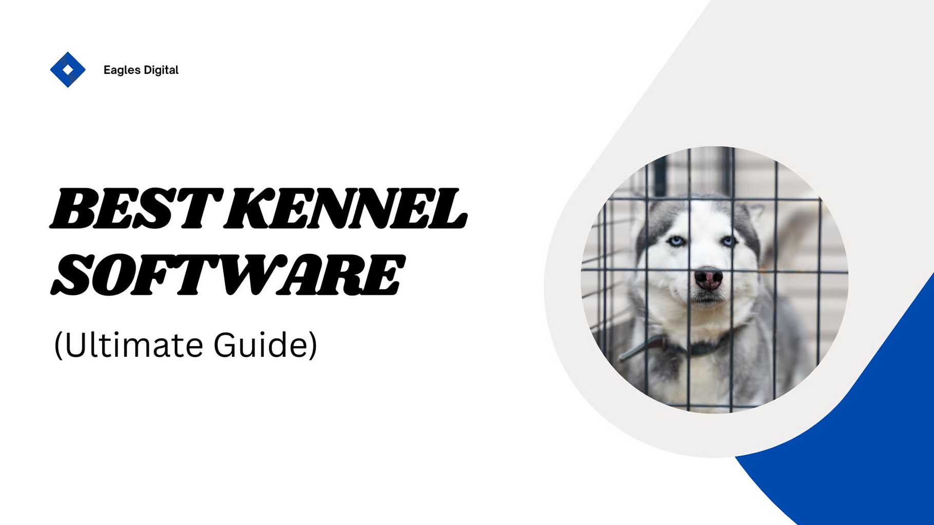 Best Kennel Software